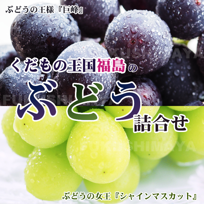 お買い得 ぶどう詰め合わせ③ 約4.8kg シャインマスカット ピオーネ 巨峰 長野県産 北信州のぶどう詰合せセット(シャインマスカット・種