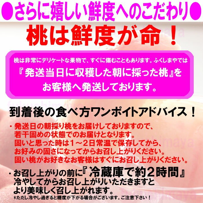 桃は鮮度が命！！！油断するとあっという間に痛む事もありますので『発送日当日の朝に採った桃』を皆様の元へ発送致します。到着後の食べ方アドバイス！・発送日の朝採り桃をお届けしますので若干固めの状態でお届けします。固いと思った時は1-2日常温でおいてお好みの固さになってからお召し上がり下さい！もちろん固めの桃がお好きな方はすぐにお召し上がり下さいね。・お召し上がりの前に『冷蔵庫で約2時間』冷やしてからお召し上がりいただきますより美味しく召し上がれます。*ただし冷やし過ぎると糖度が下がる場合がございますのでご注意ください！！！*お届けの際には当店オリジナルの食べ方ガイドを同封いたします。