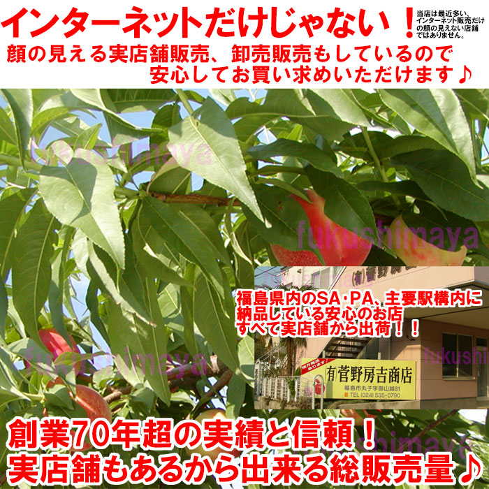 献上桃の郷『桑折町産』の桃。