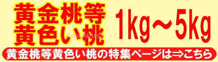 黄金桃の特集ページへ