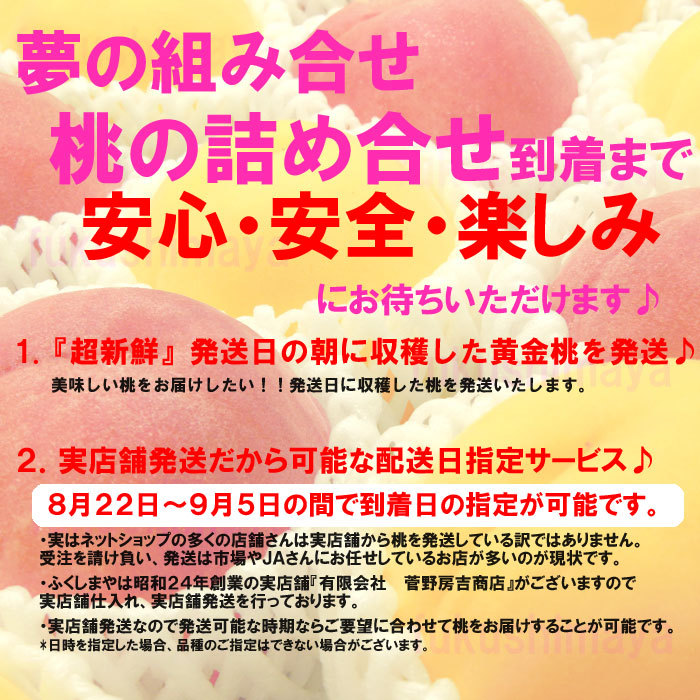 桃 詰合せ 福島県 献上桃の郷 桑折町産 1kg箱 3〜5玉入 「ふくしまプライド。体感キャンペーン（果物 野菜）」 桃 