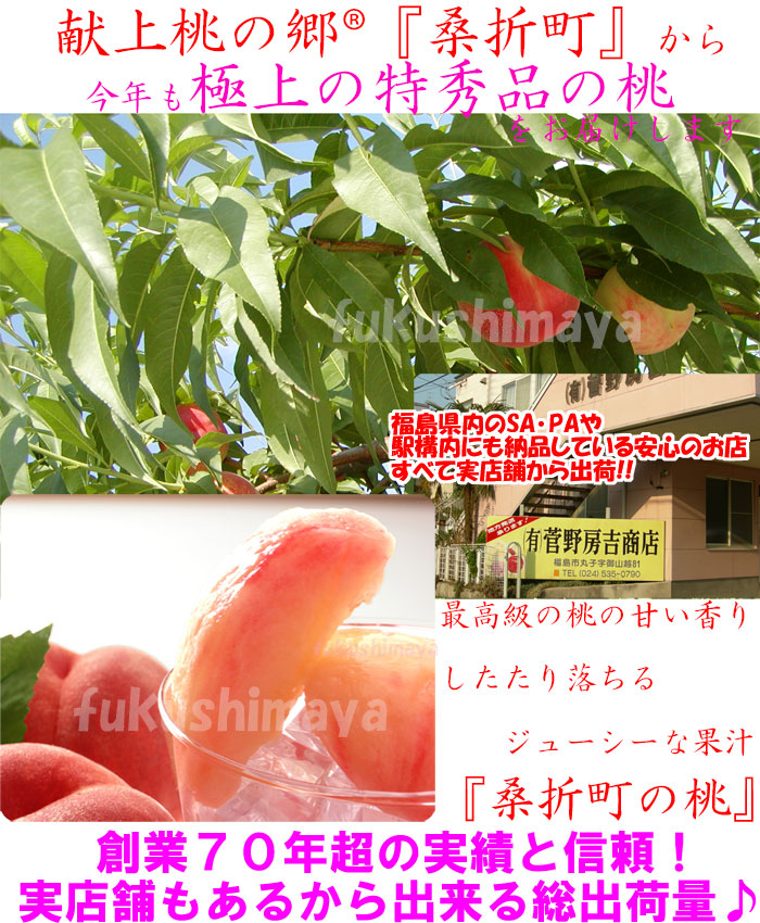 桃 福島県 献上桃の郷 桑折町産 特秀品桃 2.7kg箱(7〜15玉) 家庭用