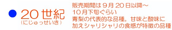 ２０世紀のページへ移動する♪
