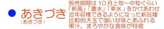 あきづきのページへ移動する♪