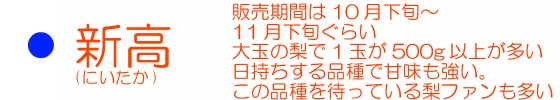 新高のページへ移動する♪