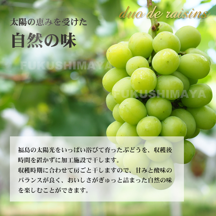 プレゼント ギフト シャインマスカット 干しブドウ duo de raisins (枝