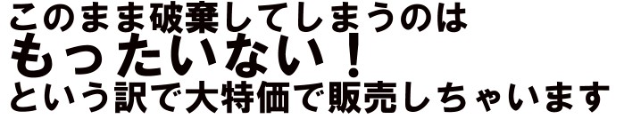 もったいないので特別特価で販売します