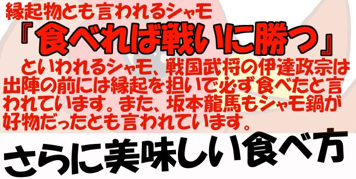 縁起物とも言われています。『食べれば戦いに勝つ』と言われ、戦国武将の伊達政宗は出陣の前には演技を担いで必ずシャモ鍋を食べたと言われています。また、幕末の英雄でもある坂本龍馬もシャモ鍋が大好物で京で討たれたのは宿の小僧にシャモ肉を買いにいかせた後のことでした。