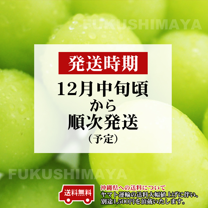 ぶどう シャインマスカット 福島県産 2房 約1kg 産地直送 特選ギフト