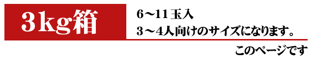 贈答用サンふじりんご約3kg箱