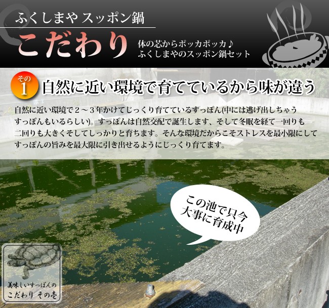 自然に近い環境で２〜３年かけてじっくり育てているすっぽん(中には逃げ出しちゃうすっぽんもいるらしい)。すっぽんは自然交配で誕生します、そして冬眠を経て一回りも二回りも大きくそしてしっかりと育ちます。そんな環境だからこそストレスを最小限にしてすっぽんの旨みを最大限に引き出せるようにじっくり育てます。