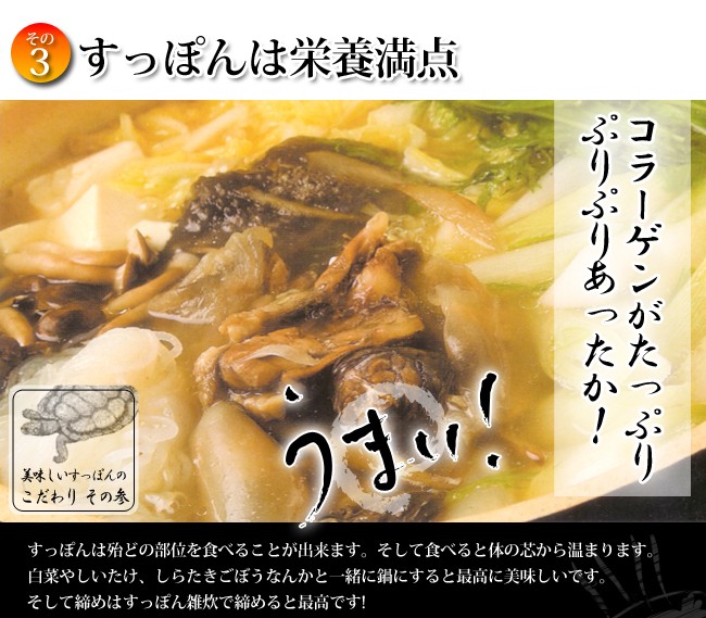 すっぽんは殆どの部位を食べることが出来ます。そして食べると体の芯から温まります。白菜やしいたけ、しらたきごぼうなんかと一緒に鍋にすると最高に美味しいです。そして締めはすっぽん雑炊で締めると最高です。