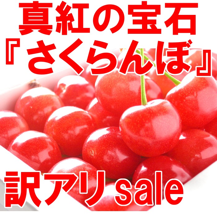 佐藤錦 訳あり さくらんぼ 約450g 福島県産 発送時期：6月中旬〜6月