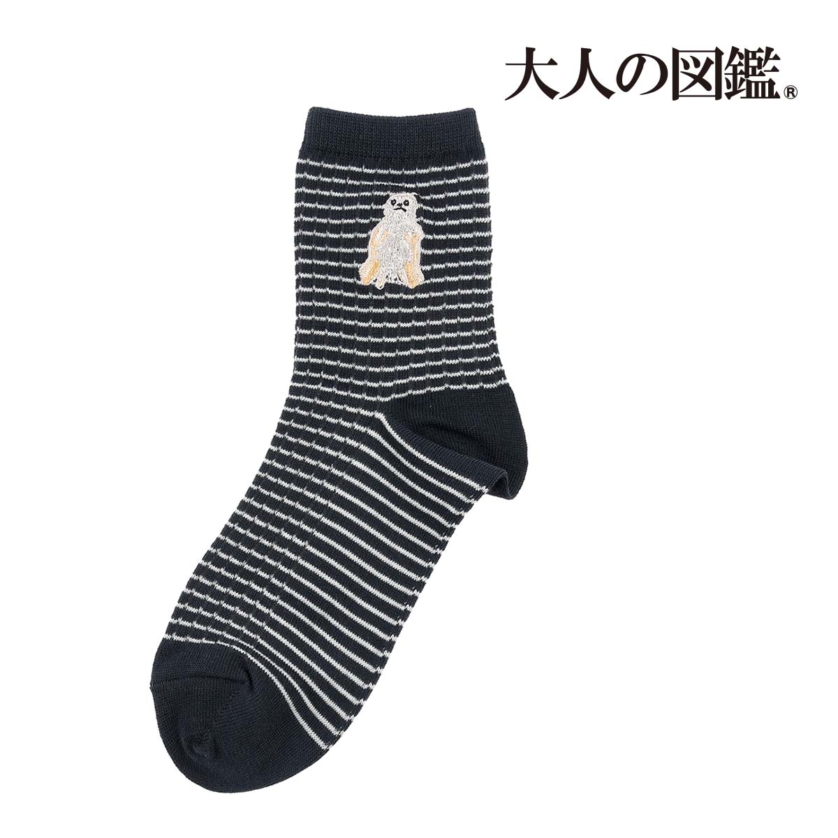 Fukuske（フクスケ） 福助 大人の図鑑 靴下 ポメラニアン編 ボーダー柄