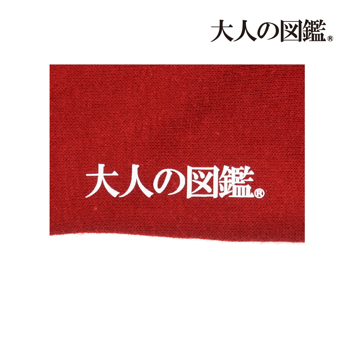 Fukuske（フクスケ） 大人の図鑑 靴下 クルー丈 メジェド柄 つま先