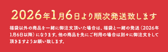 福袋 2026 食品 送料無料 選べる梅干し 商品11点 福梅ぼし ポイント