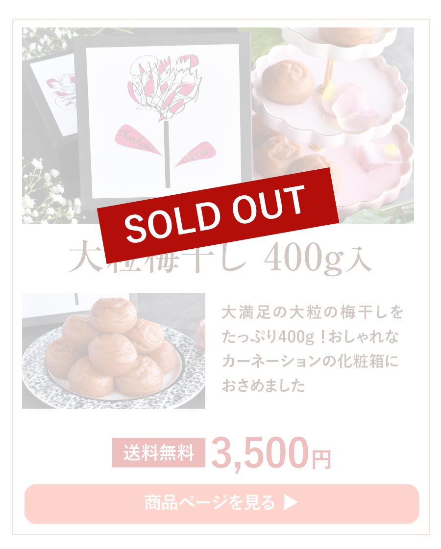 大粒梅干し400g入