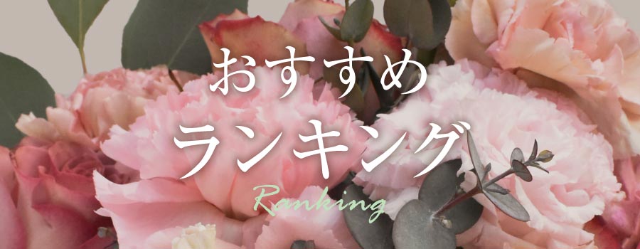 おすすめランキング