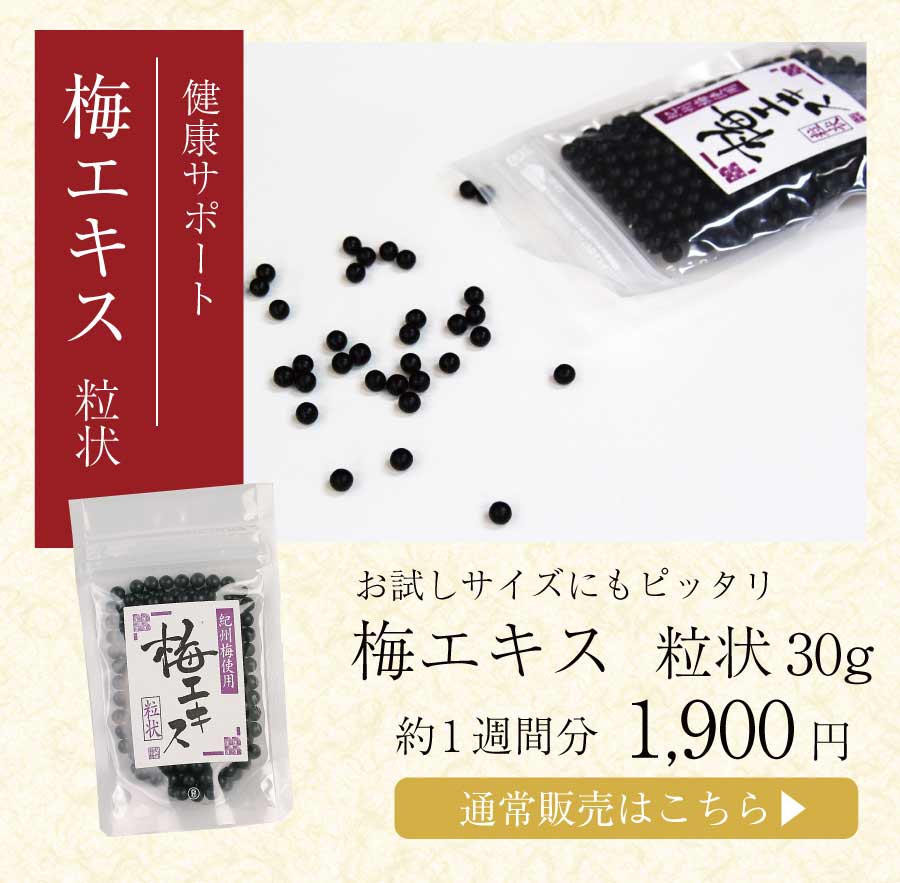 福梅本舗 福袋 2026 食品 梅干し はちみつ梅 紀州南高梅 お配り用 御