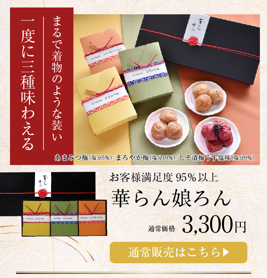 福梅本舗 福袋 2026 食品 梅干し はちみつ梅 紀州南高梅 お配り用 御