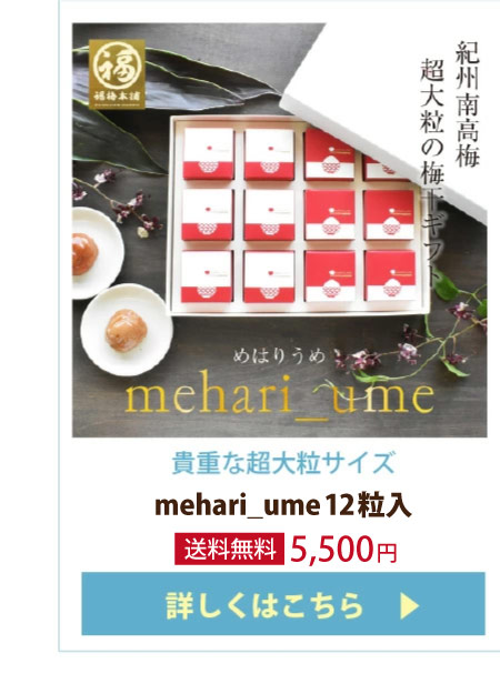 mehari_ume12粒入