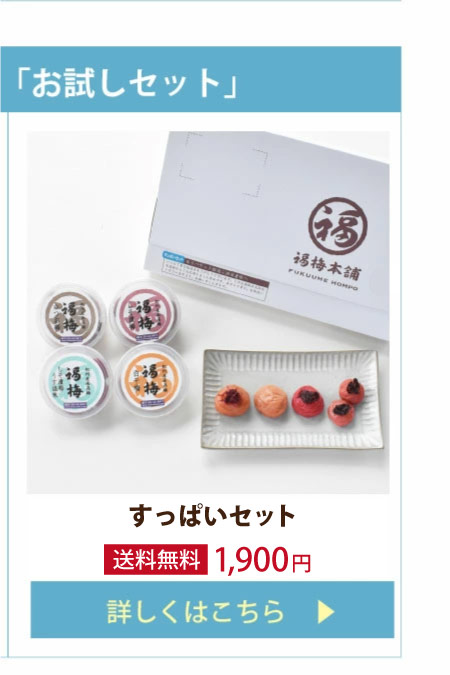 お試しセット