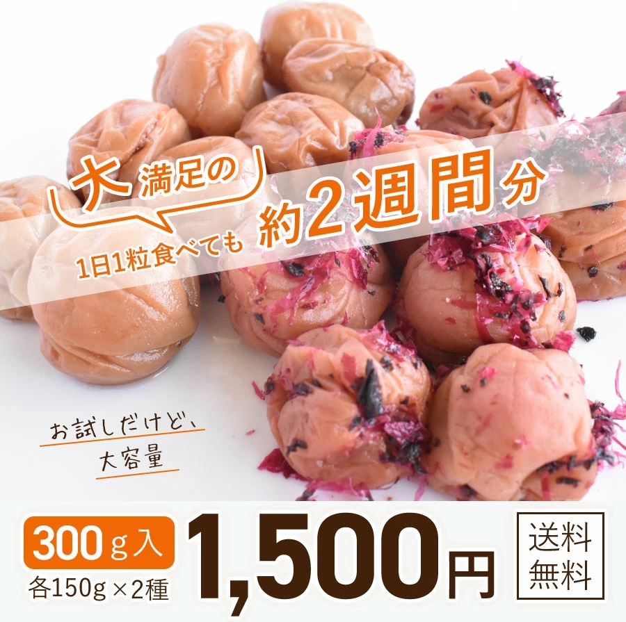 紀州南高梅訳ありお試しセット