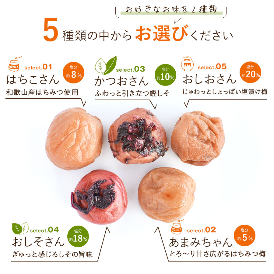 紀州南高梅訳ありお試しセット