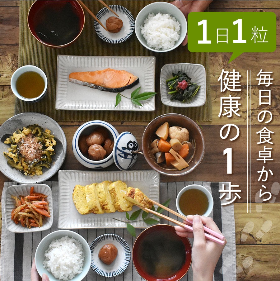 紀州南高梅訳ありお試しセット