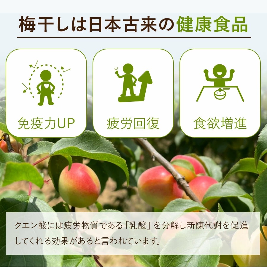 紀州南高梅訳ありお試しセット