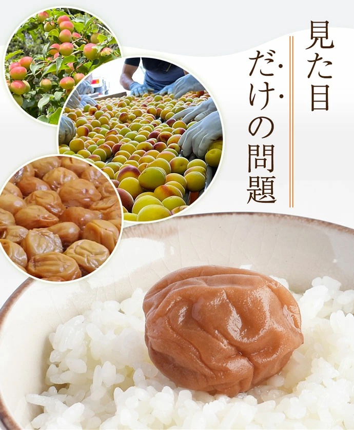 紀州南高梅訳ありお試しセット