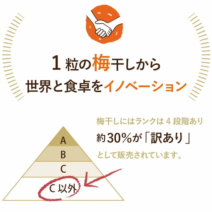 紀州南高梅訳ありお試しセット