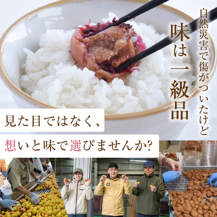 紀州産南高梅　訳あり傷あり梅750g