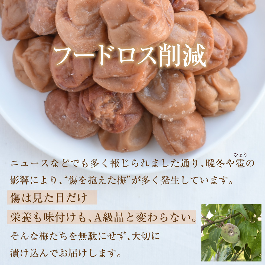 紀州産南高梅　訳あり傷あり梅750g