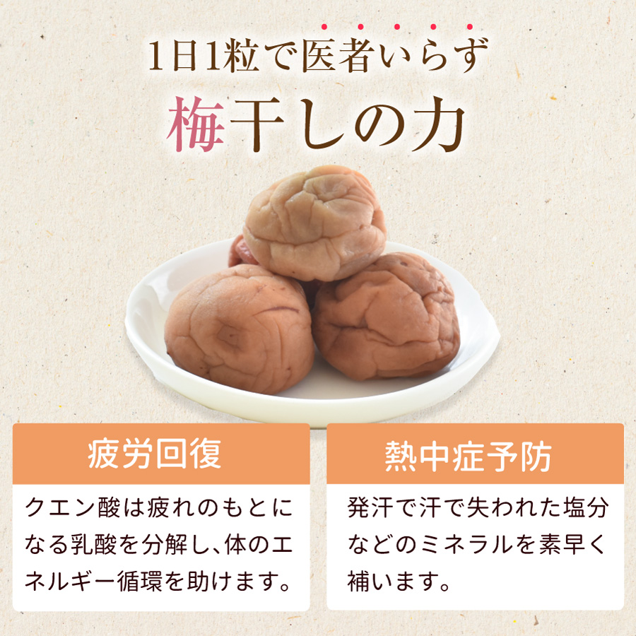紀州産南高梅　訳あり傷あり梅750g