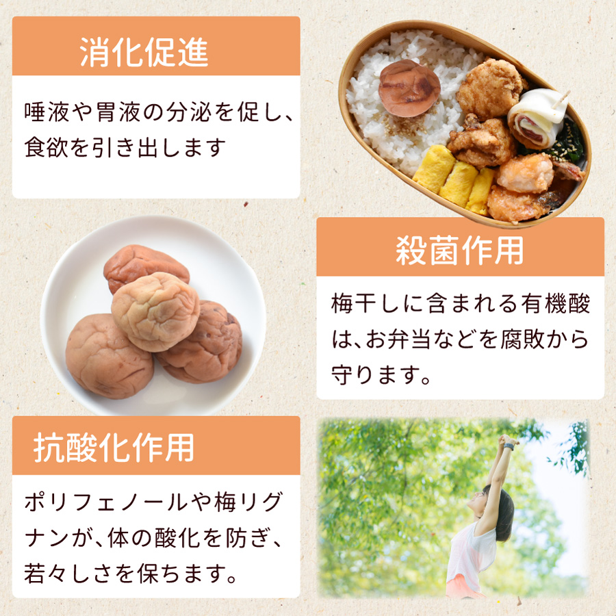 紀州産南高梅　訳あり傷あり梅750g