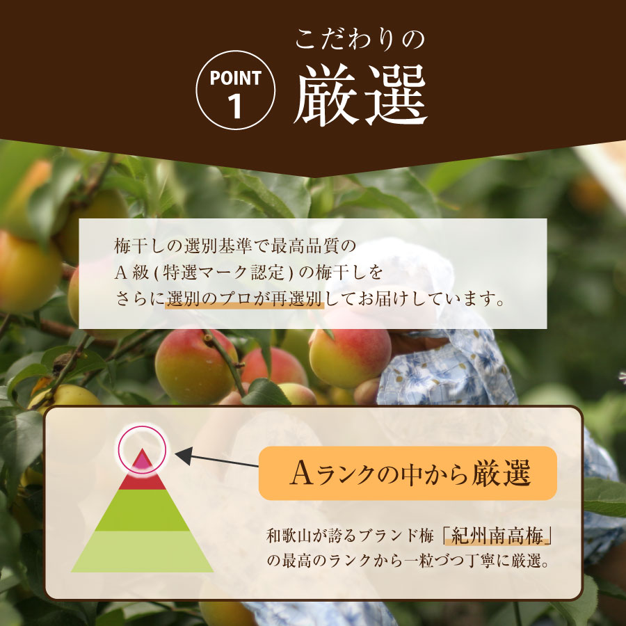 紀州南高梅 種なし梅200g