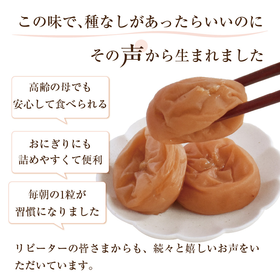 紀州南高梅 種なし梅200g