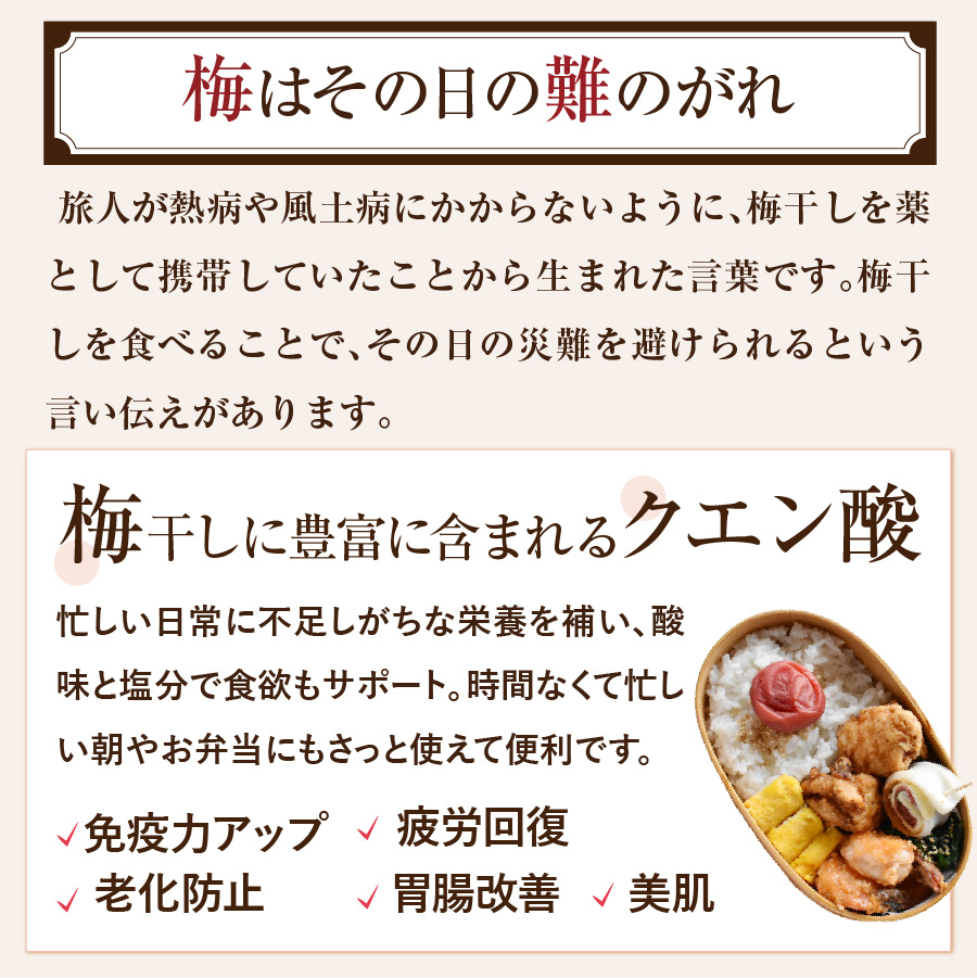 紀州南高梅 種なし梅200g