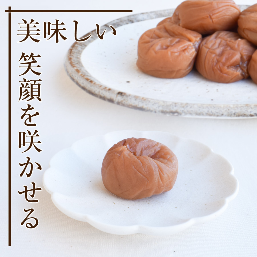 紀州南高梅 種なし梅200g