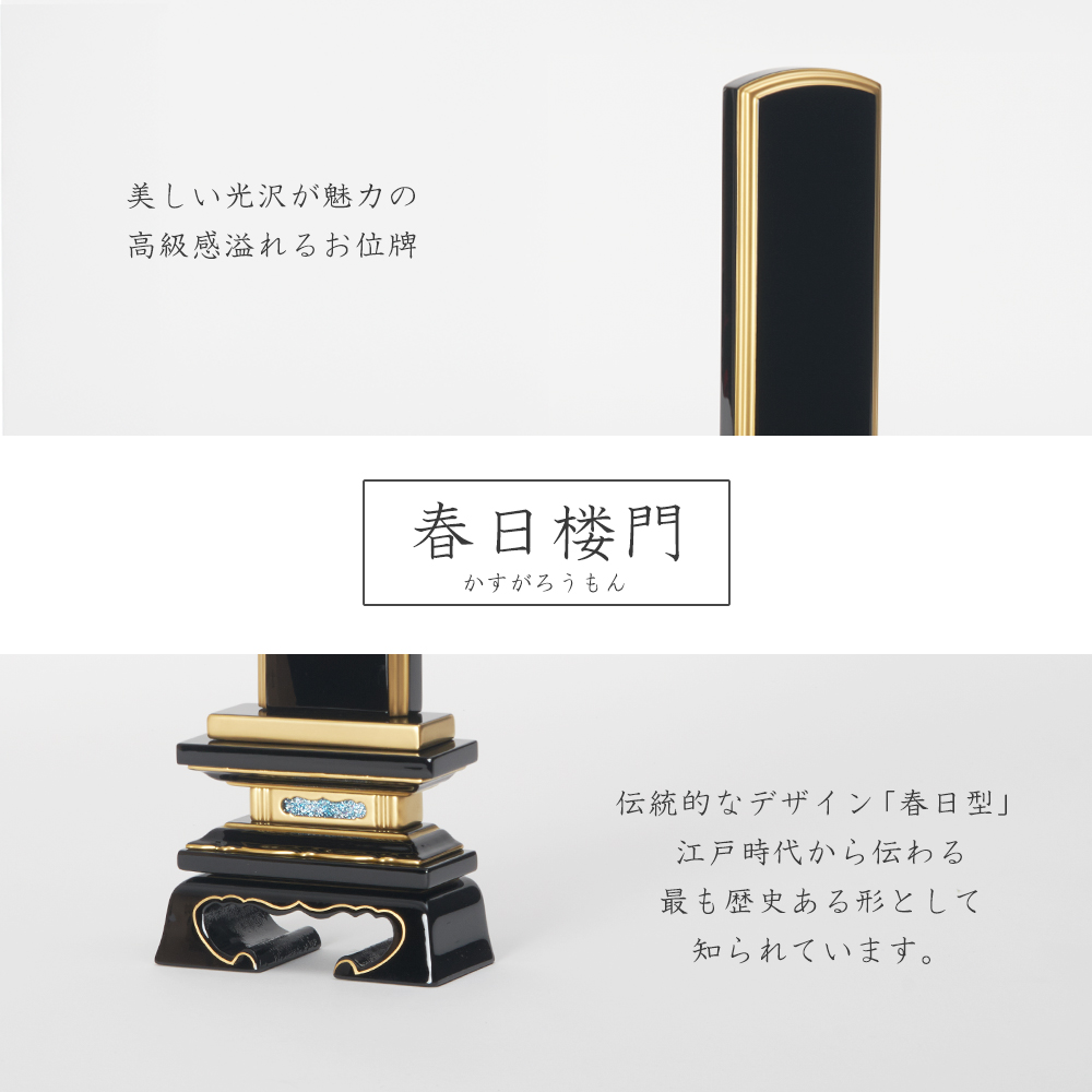 x60h21096aa_lp_03.jpg