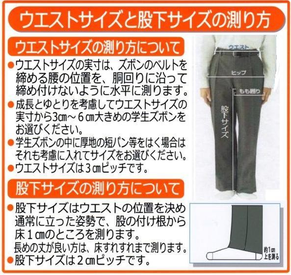 サイズ