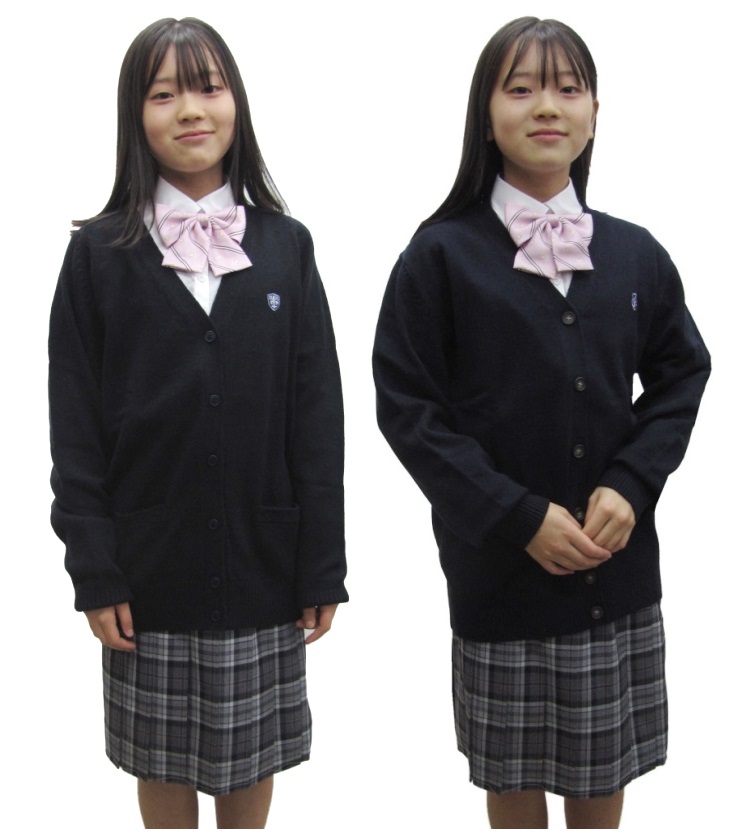 スクールスカート カンコー スイートティーン18枚ひだスカート