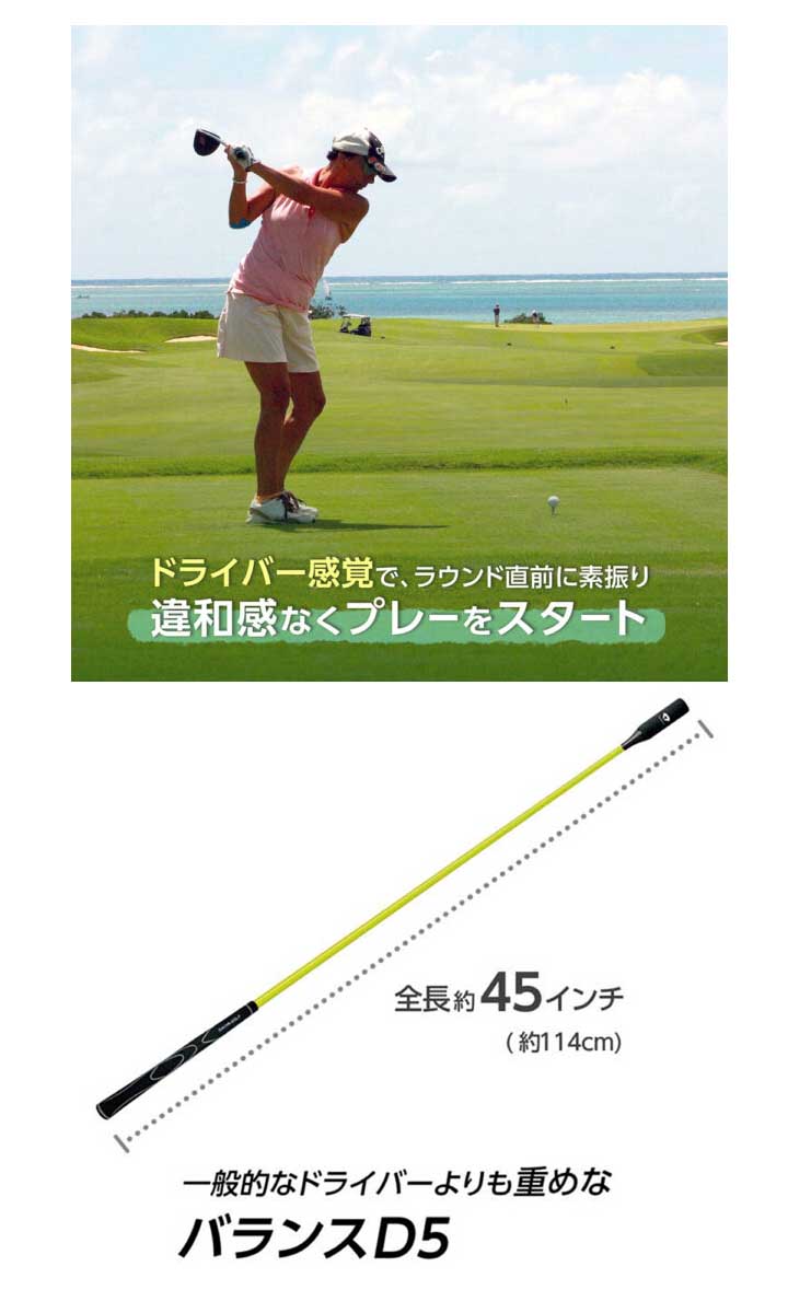 ダイヤゴルフ(DAIYA GOLF) スイング練習器具 ダイヤスイングプロツアー