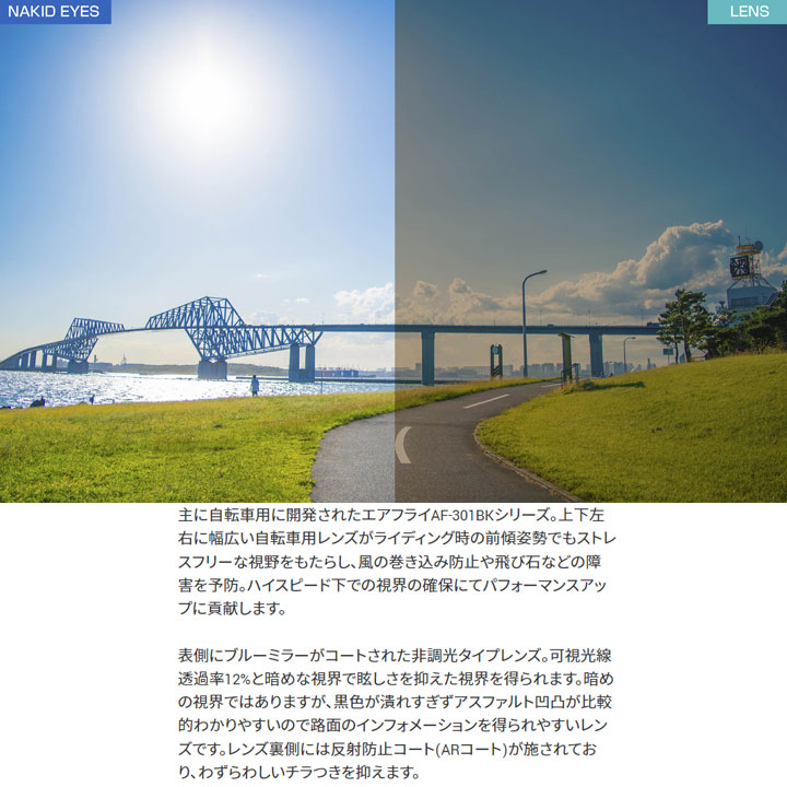 エアフライ AF-301 C-34BK 非調光レンズ装着モデル スポーツサングラス ジゴスペック ZYGOSPEC AirFly 2022 10p_4