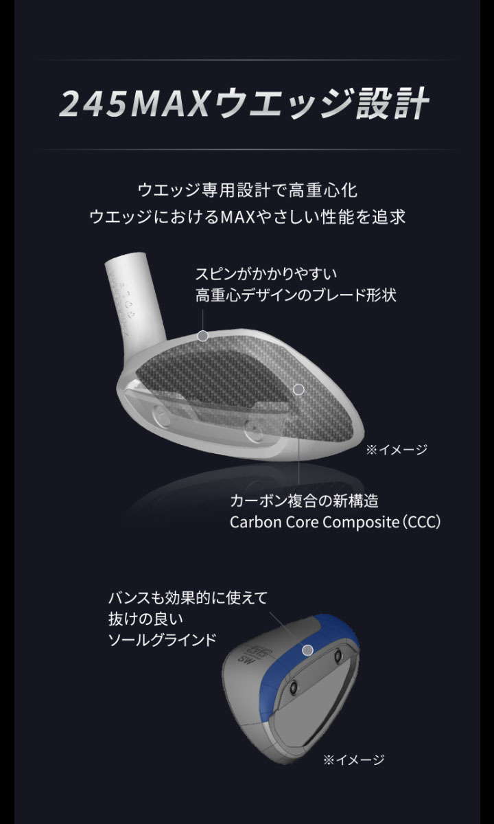 BRIDGESTONE GOLF ブリヂストン 245MAX アイアン 5本セット（#6
