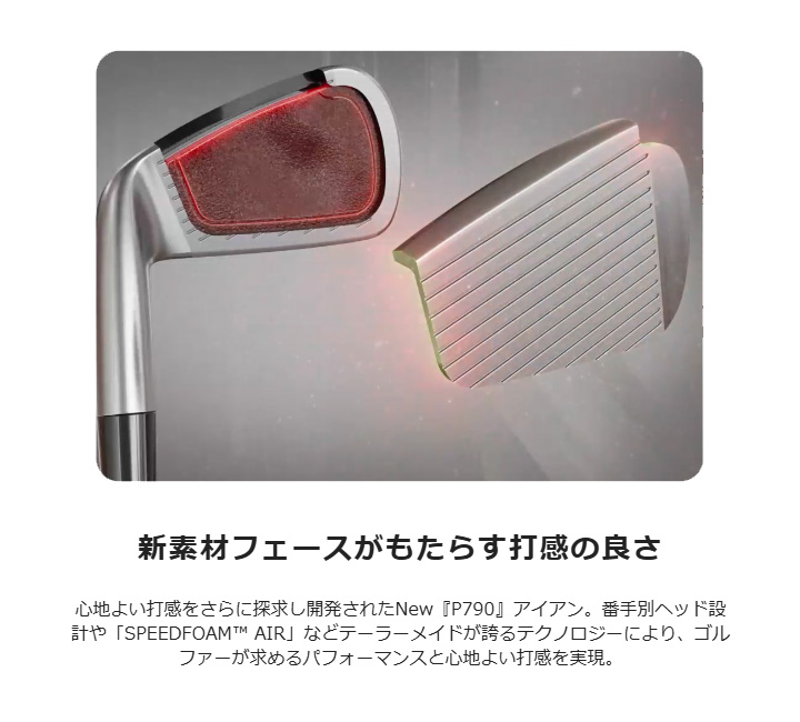 TaylorMade（テーラーメイド） 特注スペック NEW P790 アイアン 単品