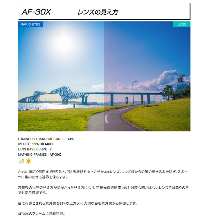 AirFly 【正規販売店】エアフライ AF-30X C-1 スポーツサングラス