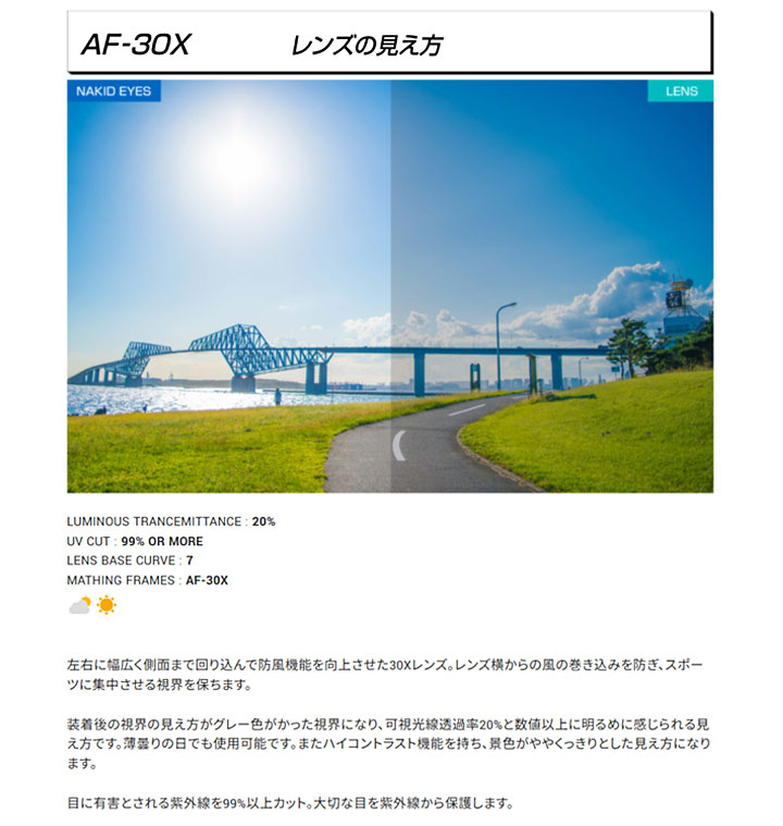 AirFly 【正規販売店】エアフライ AF-30X C-4 スポーツサングラス