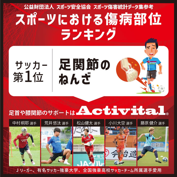 【送料無料(代引不可)】Activital ア...の詳細画像4